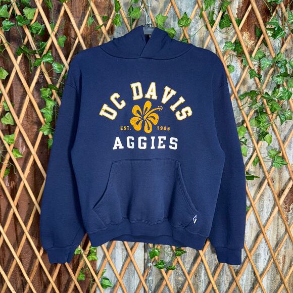 Vintage Y2K UC Davis Aggies’s Russell 90s boxy heavy hoodie - Picture 1 of 4